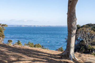 北茨城市大津町の五浦岬公園から見る海