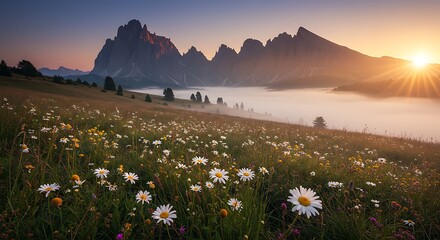 Misty Daisy Field Sunrise Mountain View - Serene Nature Landscape