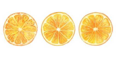 Bright orange slices watercolor illustration set isolated. Dried citrus chip spice for mulled wine or alcohol free drink, hot warming drinks, Christmas baking. Naturally vibrant juicy sweet, healthy