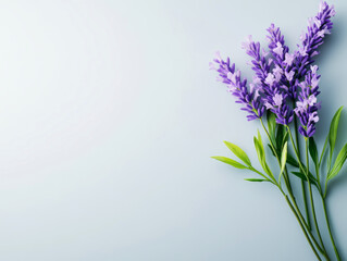 Naklejka premium Lavender Flowers Arrangement with Leaves on Soft Background for Natural Beauty and Wellness