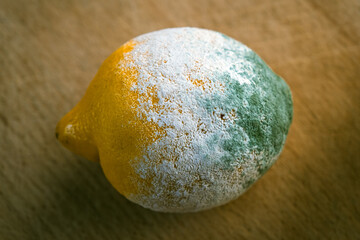 Angeschimmelte Zitrone auf Holzbrett liegend