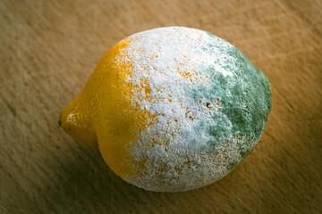 Angeschimmelte Zitrone auf Holzbrett liegend