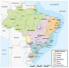 Map of the distribution of biomes in Brazil.