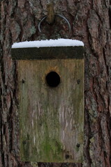 Bird house on tree in winter