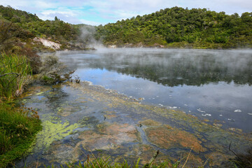 View at Waimangu Volcanic Valley national park in New Zealand