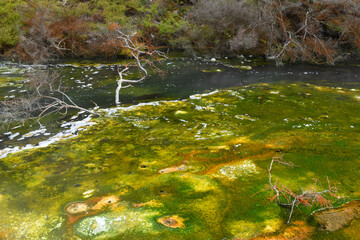 View at Waimangu Volcanic Valley national park in New Zealand