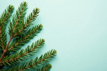 Obraz premium A vibrant evergreen branch, lush and green, gracefully positioned against a tranquil light blue backdrop, offering a serene and natural composition.