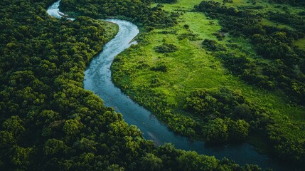 A peaceful river winds its way through lush green surroundings, highlighting the splendor of a preserved natural sanctuary
