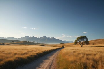Obraz premium dirt road in a field with a lone tree in the distance