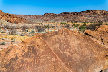 Rock engravings, ancient petroglyphs of animals at Twyfelfontein, Damaraland, Namibia