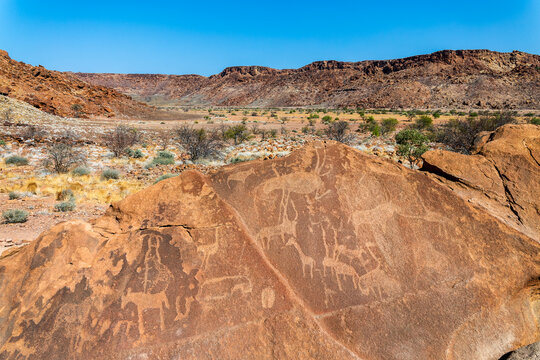 Rock engravings, ancient petroglyphs of animals at Twyfelfontein, Damaraland, Namibia