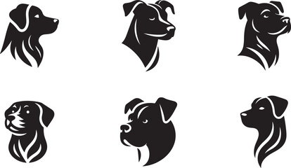 black and white dogs