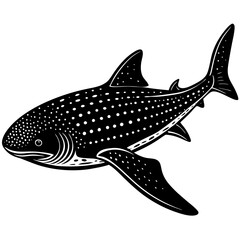 vector illustration of a shark