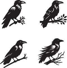 set of birds