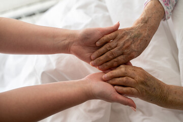 A young womans hands gently hold the hands of an elderly female patient in a hospital bed,...