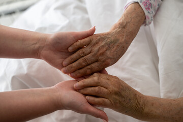 A young womans hands gently hold the hands of an elderly female patient in a hospital bed,...