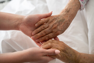 A young womans hands gently hold the hands of an elderly female patient in a hospital bed,...