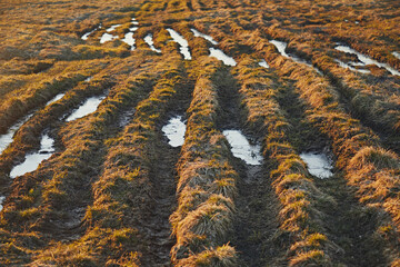 Ruts with puddles in a spring field against the background of old grass, close-up in bright sunset light