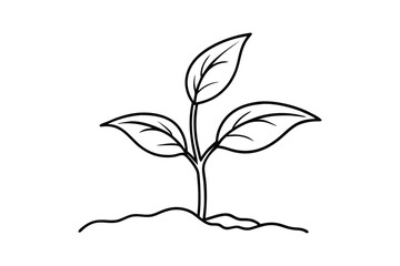 Eco-Friendly Line Art Plant Leaves, Seedling Growth, and Natural Design
