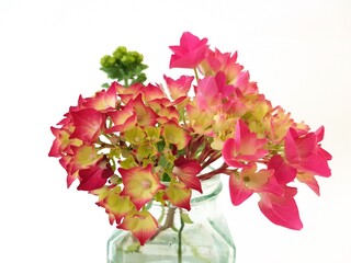 A display of fresh cut summer flowers in a glass vase on a white background.