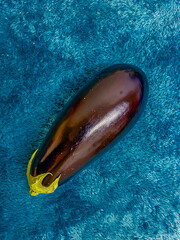 Eggplant on a blue background