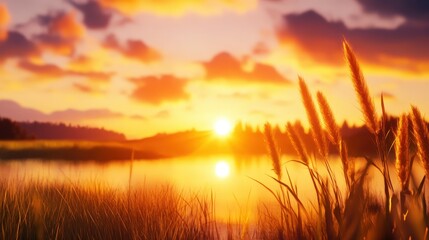 Naklejka premium A stunning sunset over a tranquil lake, with tall grasses gently swaying in the breeze. The vibrant colors of orange and purple in the sky reflect beautifully on the calm water.
