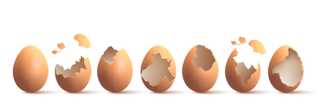 Set of egg and eggshell broken on white background	