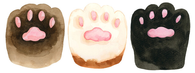 Cat paw whimsical animal foot watercolor hand drawn and painted on isolated background in collection set clipart in black, brown, and orange © Kunrus