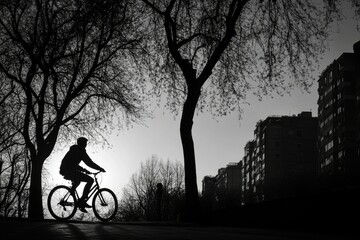 Obraz premium Silhouette of cyclist riding bike near city buildings and trees at sunset.