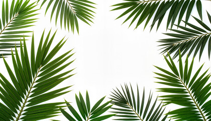 Green palm leaves arranged on a white background for blogs, websites, stationery design, tropical-themed decor, presentations, and nature-centric graphics