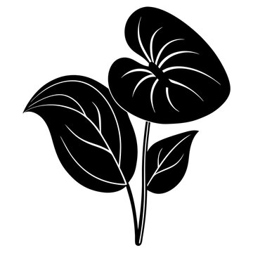 black anthurium plant leaves silhouette clip art preview