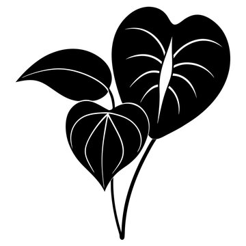 black anthurium plant leaves silhouette clip art preview