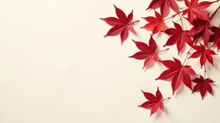 Autumnal Red Leaves on Cream Background A Simple, Elegant Design Featuring Vibrant Fall Foliage