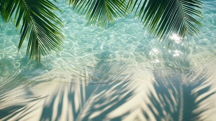 Stunning Tropical Palm Leaf Shadows Cast on Crystal Clear Water and White Sand Beach Creating a Refreshing Abstract Summer Vacation Atmosphere