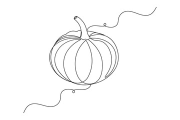 Pumpkin continuous one line drawing and minimalist style isolate outline vector illustration
