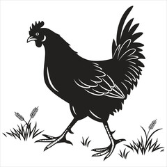 silhouette chicken image on white background