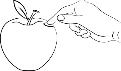 Hand Gently Poking a Ripe Red Apples Surface