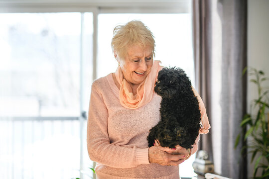 Beautiful senior woman in the living room with dog