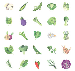 Set of vector icons of vegetables with white background