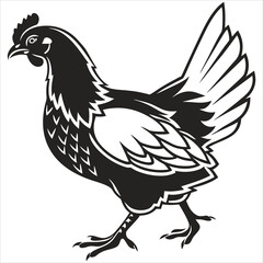 silhouette chicken image on white background
