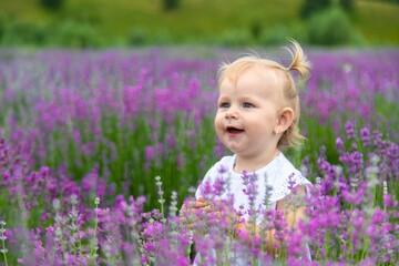 Little girl in a lavender field and touching the flowers with her hand.