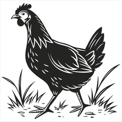 silhouette chicken image on white background