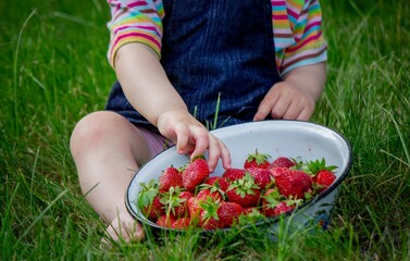 Little girl in the garden eating strawberries