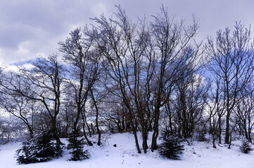 Winter snowy landscape of the Moravian Karst. South Moravia, Czech Republic.