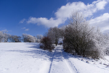 Winter snowy landscape of the Moravian Karst. South Moravia, Czech Republic.