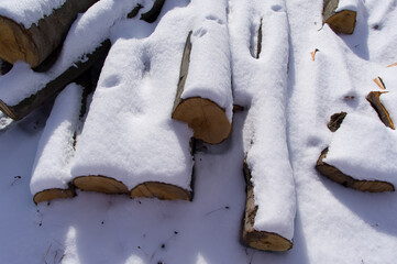 Snow-covered tree trunks called beech. A warehouse of material prepared for further processing.