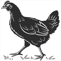 silhouette chicken image on white background