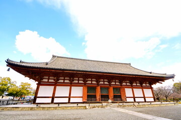 Fototapeta premium 東寺 講堂 京都市 南区 九条町