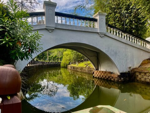 Elegant bridge spanning across a serene park, gracefully arching over a gentle lake with flowing water beneath.