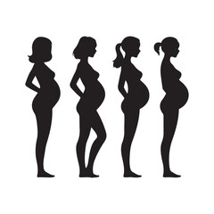 silhouette, pregnancy stages, black and white, minimalist design, medical illustration
